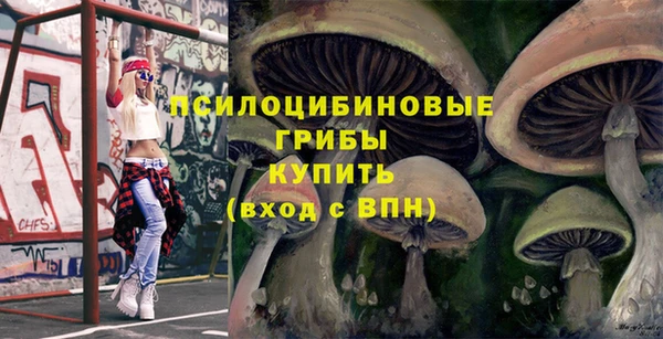 индика Алзамай