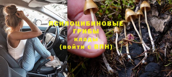 индика Алзамай
