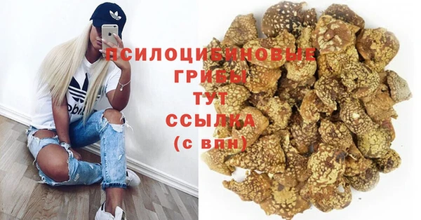 spice Алексин
