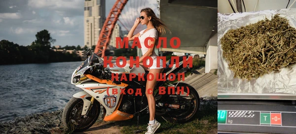 индика Алзамай