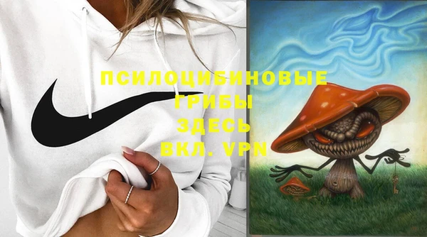 индика Алзамай