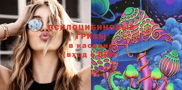 spice Алексин